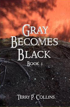 Grey Becomes Black book jacket                